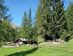 SUONI DELLE DOLOMITI